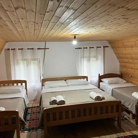 Maison d'hôtes Bujtina Shkambi *
