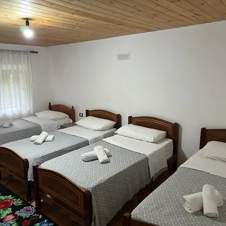 Maison d'hôtes Bujtina Shkambi *