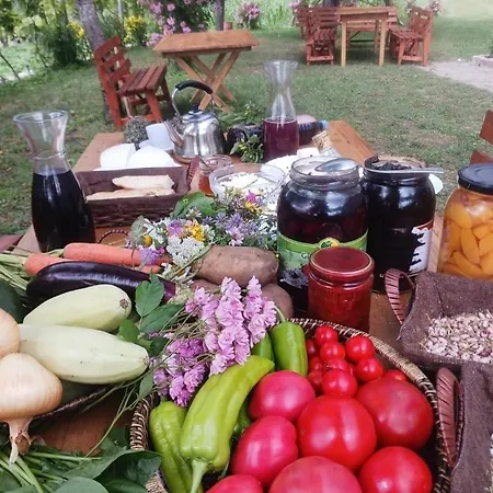 Bujtina Shkambi Maison d'hôtes Theth