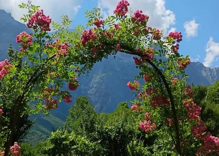 Bujtina Shkambi