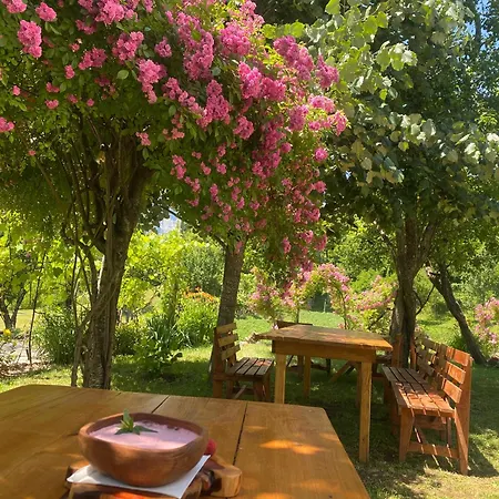 招待所 Bujtina Shkambi 泰斯