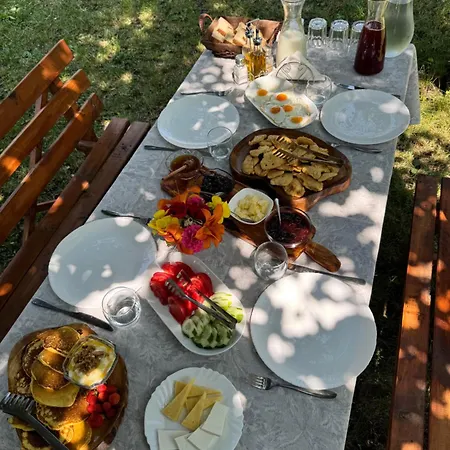 Bujtina Shkambi Theth