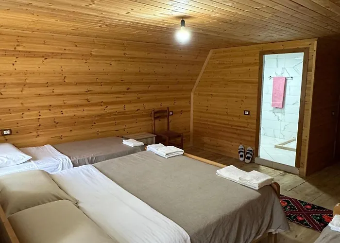 Bujtina Shkambi 3*